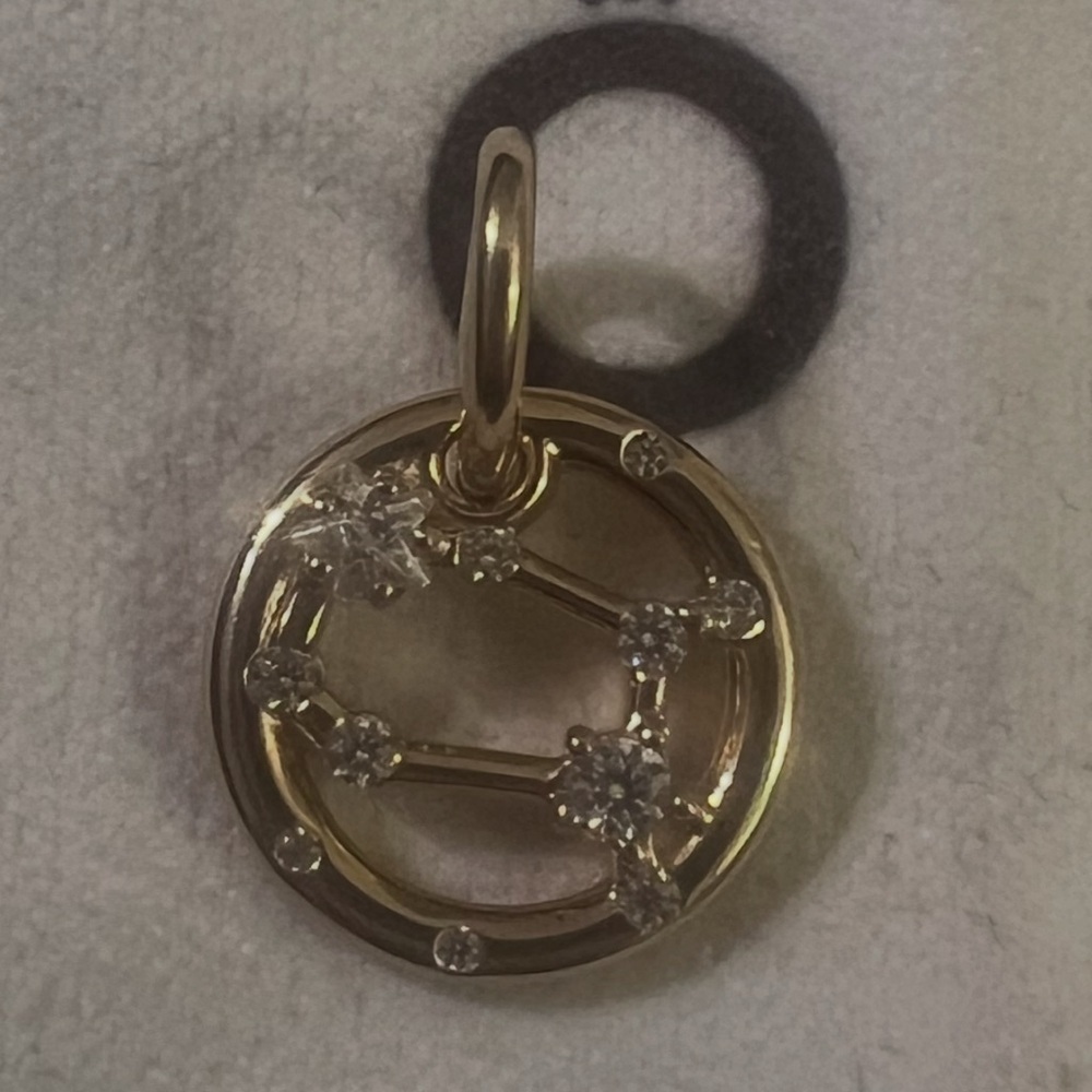 Pandora Gemini Zodiac Dangle Charm
14k gold plating - Picture 3 of 5